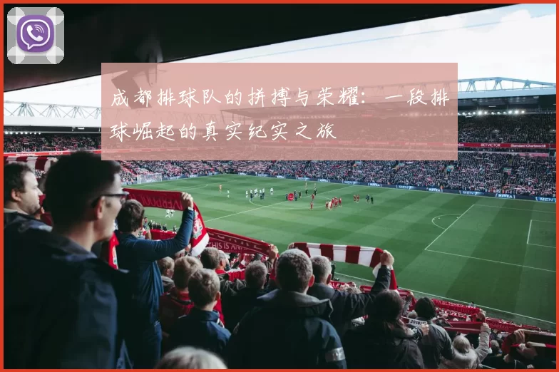 成都排球队的拼搏与荣耀：一段排球崛起的真实纪实之旅