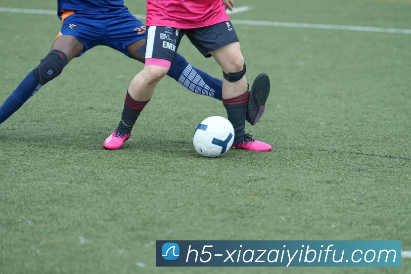 多媒体互动体验